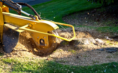 Stump Grinding and Removal: Benefits and Process